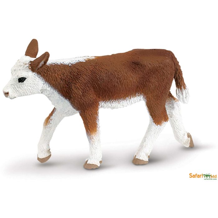 160129 - SAFARI: Vitello Hereford