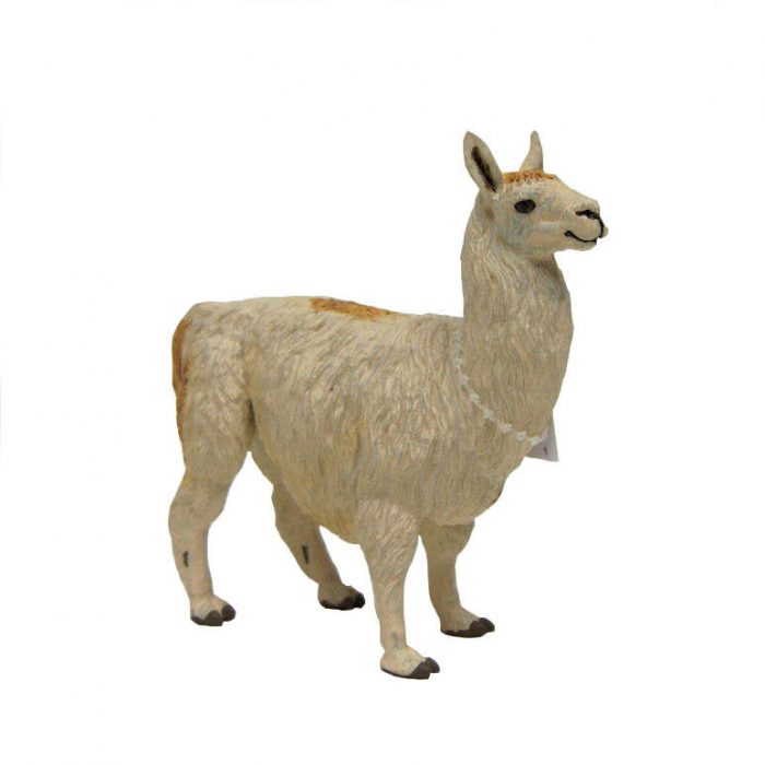 227429 - SAFARI LAMA