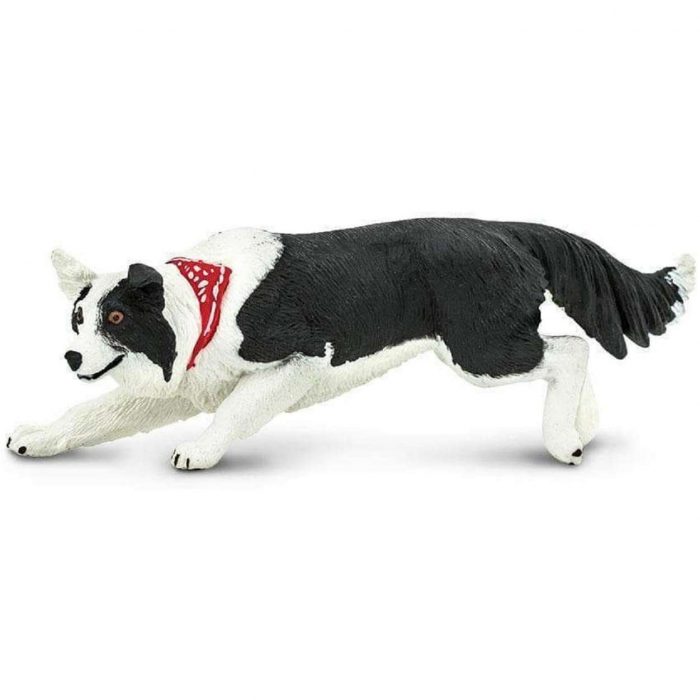 Safari Cane Border Collie