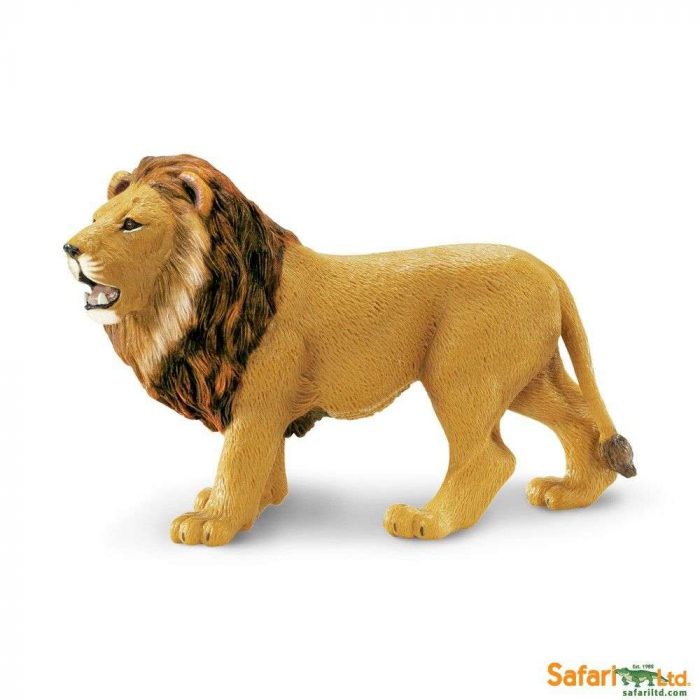 290229 - SAFARI LEONE