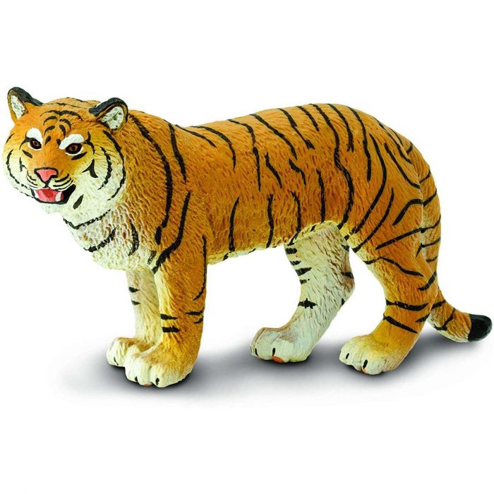 294529 Safari - Tigre Bengala