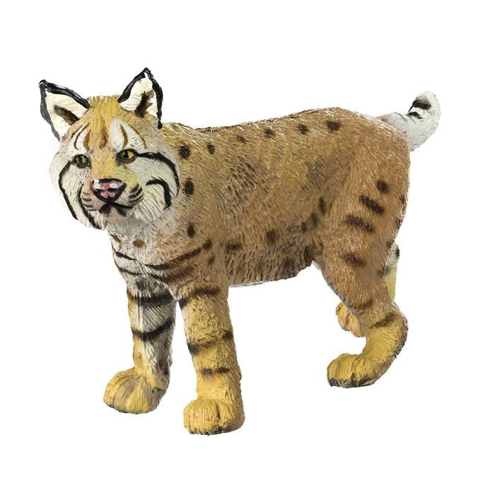 297029 - SAFARI LINCE ROSSA