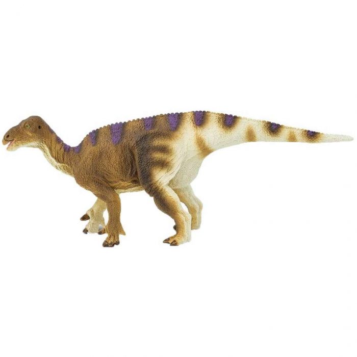 305429 Safari - Iguanodon