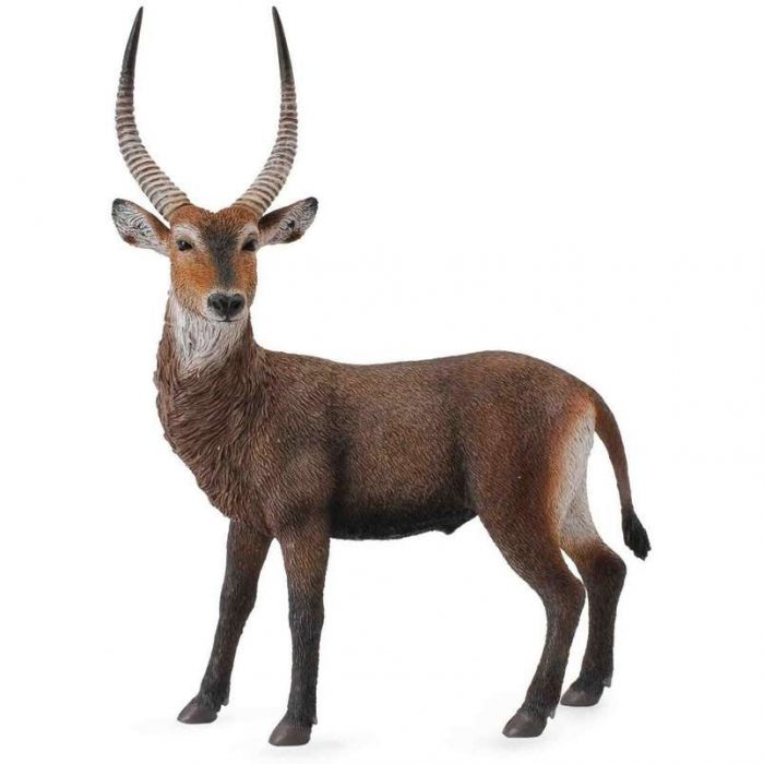 88562 Collecta - Waterbuck