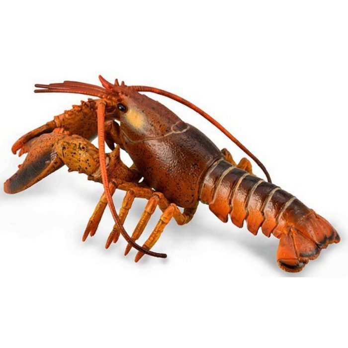 88920 Collecta - Figurine Animali Marine Deluxe