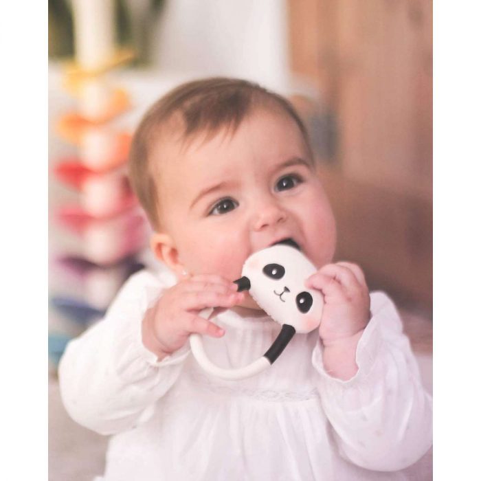 90419 Lanco - Panda Gioco da Dentazione