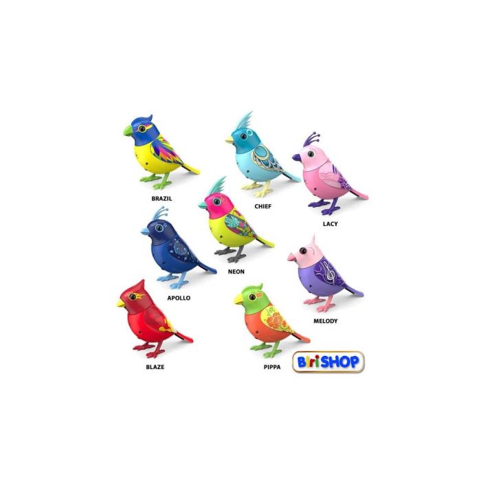 DIGIBIRDS Uccellino canterino colorato.