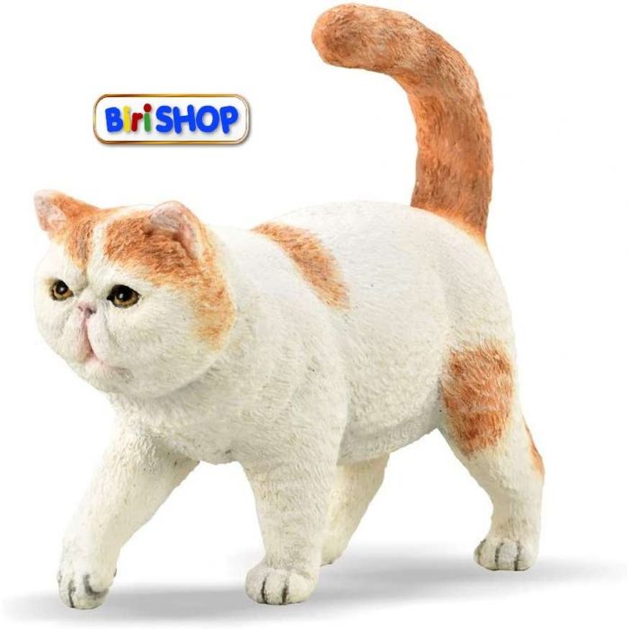 88937 Collecta - Gatto Exotic Shorthair.