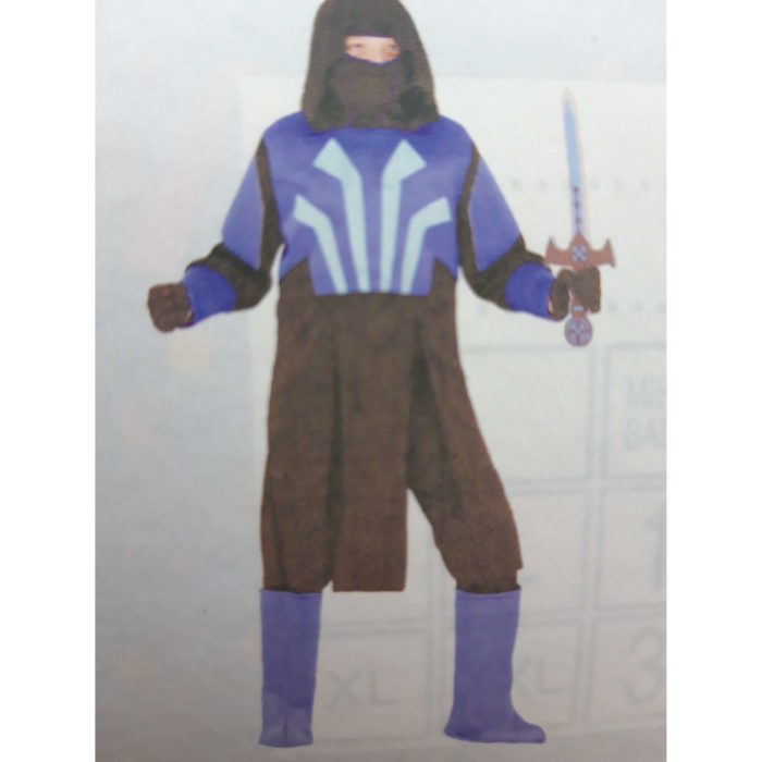 Vestito Carnevale Cavaliere di Pegasus 8/9 anni.