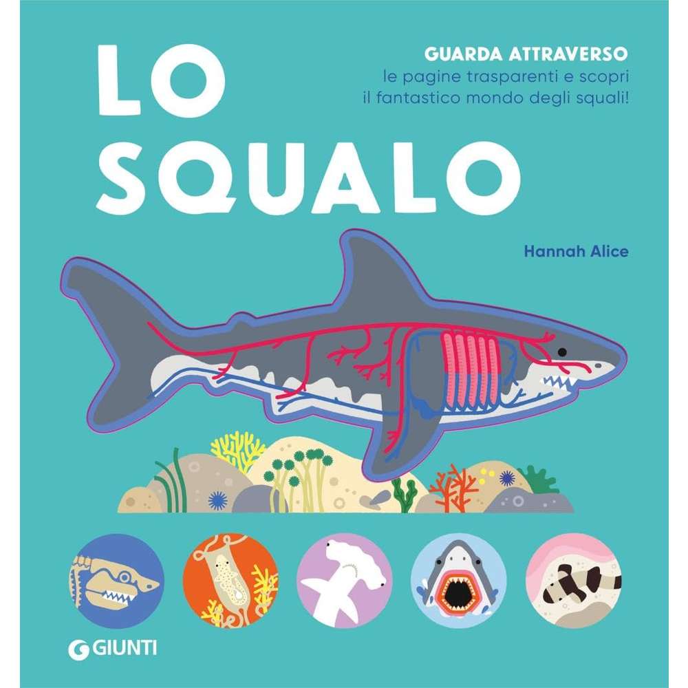 Lo squalo. - immagine 2